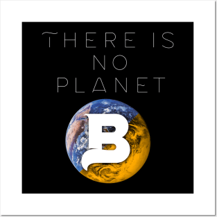 PLANET B 53 Posters and Art